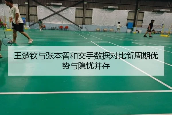 王楚钦与张本智和交手数据对比新周期优势与隐忧并存 - YaboSports